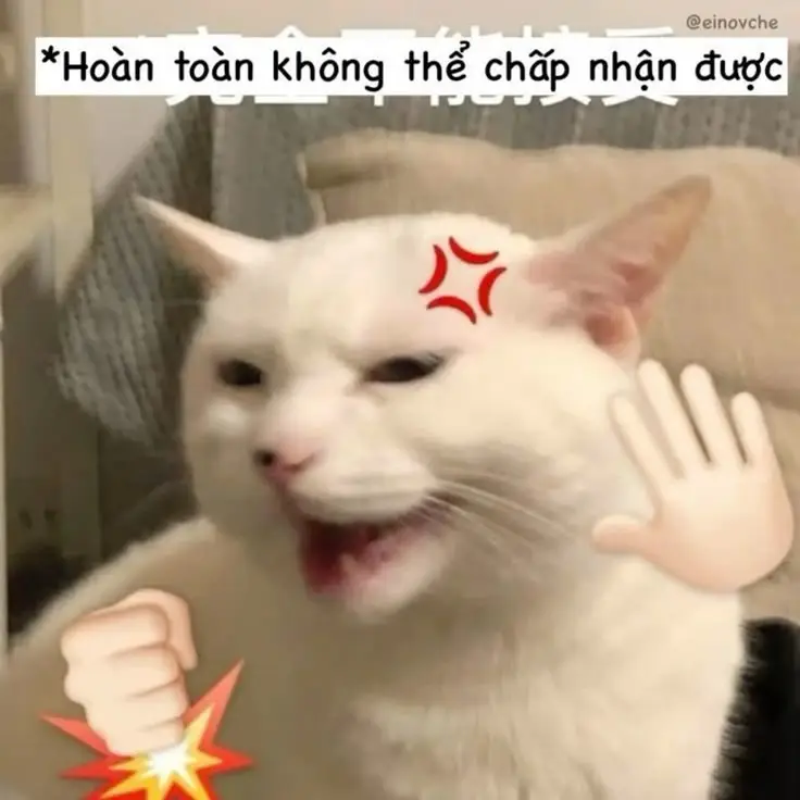 Ảnh Meme Mèo Cầm Súng: Bộ Sưu Tập Hình Ảnh Đáng Chú Ý 11