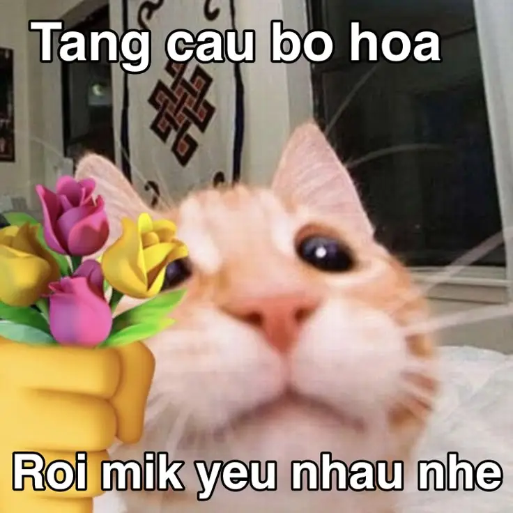 Ảnh Meme Mèo Cầm Súng: Bộ Sưu Tập Hình Ảnh Đáng Chú Ý 31