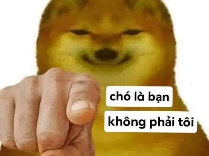 Ảnh Meme Mèo Cầm Súng: Bộ Sưu Tập Hình Ảnh Đáng Chú Ý 39