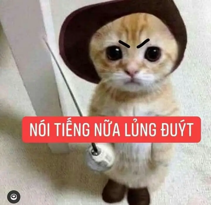 Ảnh Meme Mèo Cầm Súng: Bộ Sưu Tập Hình Ảnh Đáng Chú Ý 47