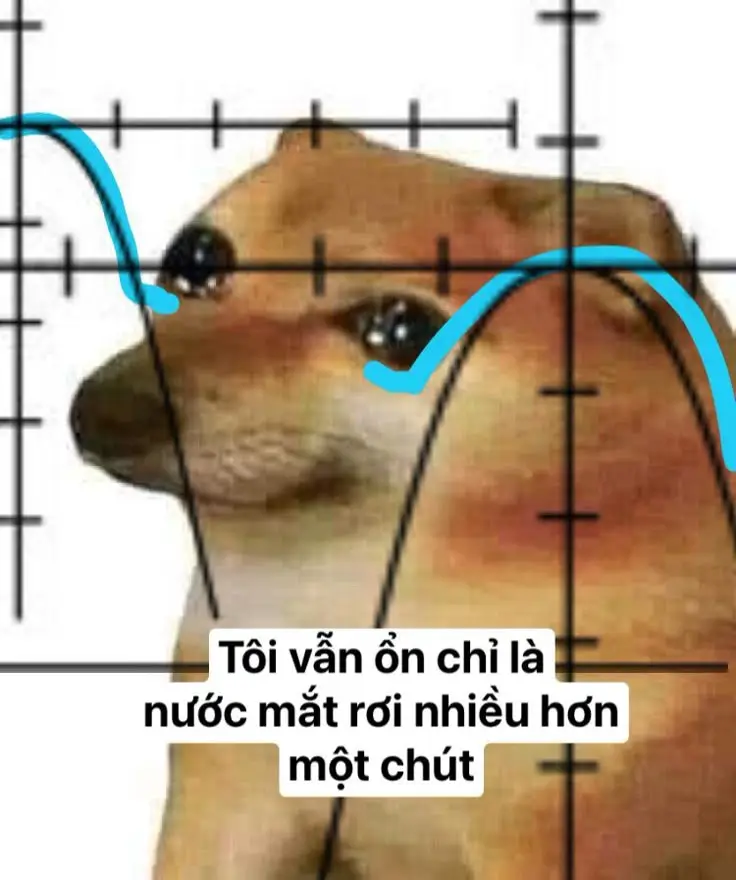 Ảnh Meme Mèo Cầm Súng: Bộ Sưu Tập Hình Ảnh Đáng Chú Ý 61