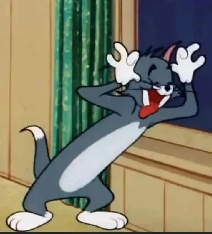 Ảnh Meme Tom And Jerry: Cuộc Phiêu Lưu Hài Hước Giữa Những Lần Đuổi Bắt 6