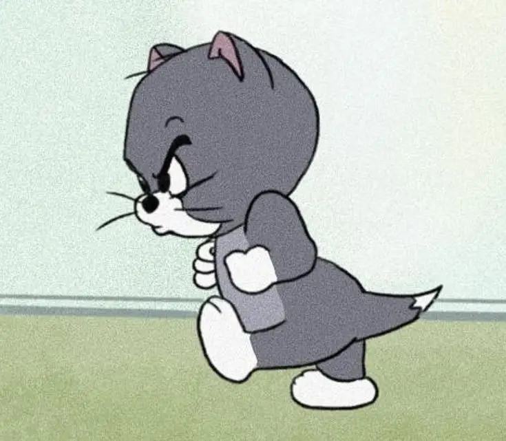 Ảnh Meme Tom And Jerry: Cuộc Phiêu Lưu Hài Hước Giữa Những Lần Đuổi Bắt 17