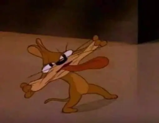 Ảnh Meme Tom And Jerry: Cuộc Phiêu Lưu Hài Hước Giữa Những Lần Đuổi Bắt 18