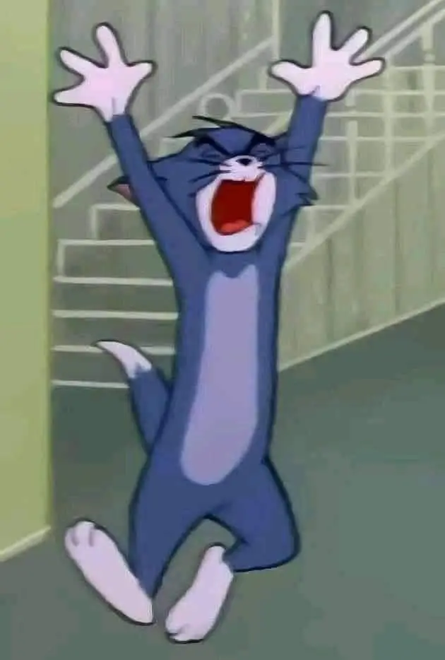 Ảnh Meme Tom And Jerry: Cuộc Phiêu Lưu Hài Hước Giữa Những Lần Đuổi Bắt 57