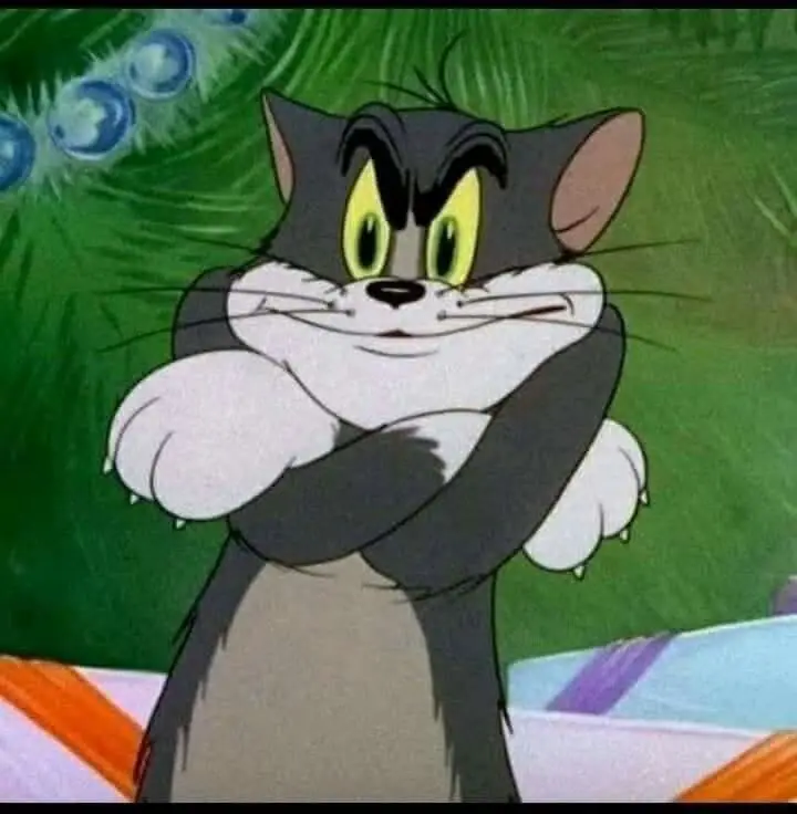 Ảnh Meme Tom And Jerry: Cuộc Phiêu Lưu Hài Hước Giữa Những Lần Đuổi Bắt 68