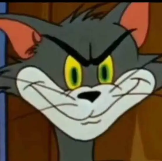 Ảnh Meme Tom And Jerry: Cuộc Phiêu Lưu Hài Hước Giữa Những Lần Đuổi Bắt 73