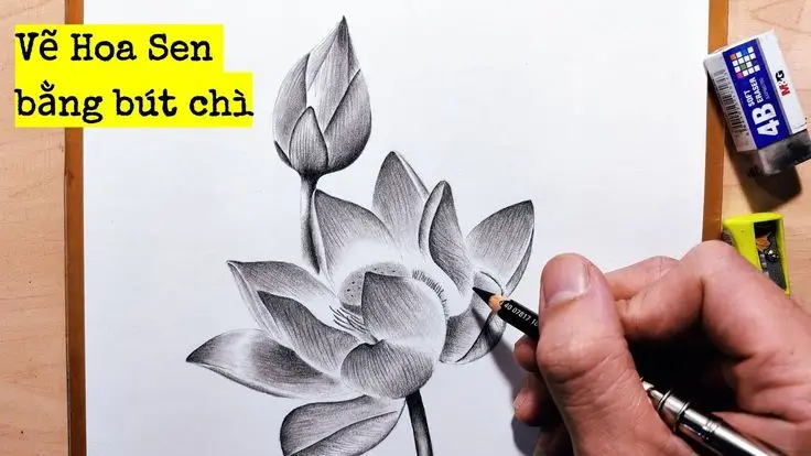 Cách Vẽ Hoa Sen Bằng Chì: Hướng Dẫn Chi Tiết 33