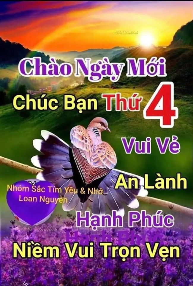 Meme Chúc Mừng Năm Mới Đầy Sắc Màu: Hình Ảnh Để Gửi Lời Chúc 30