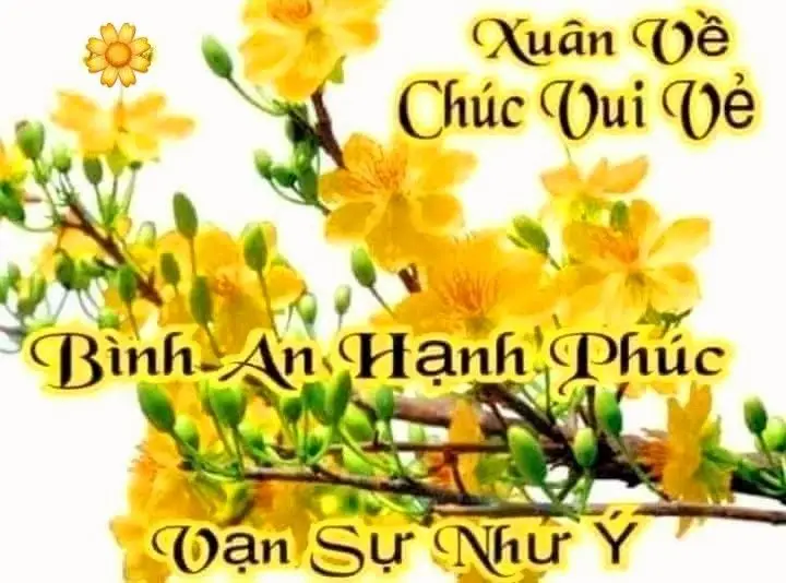 Meme Chúc Mừng Năm Mới Đầy Sắc Màu: Hình Ảnh Để Gửi Lời Chúc 33