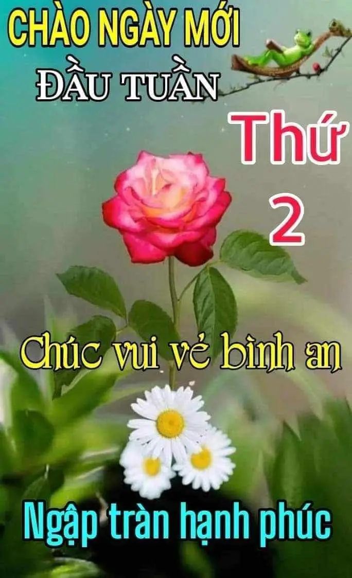 Meme Chúc Mừng Năm Mới Đầy Sắc Màu: Hình Ảnh Để Gửi Lời Chúc 37