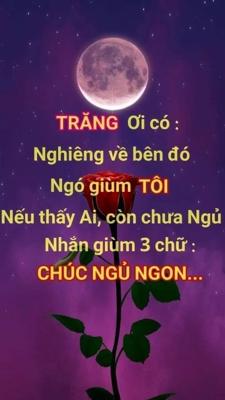 Meme Chúc Mừng Năm Mới Đầy Sắc Màu: Hình Ảnh Để Gửi Lời Chúc 64