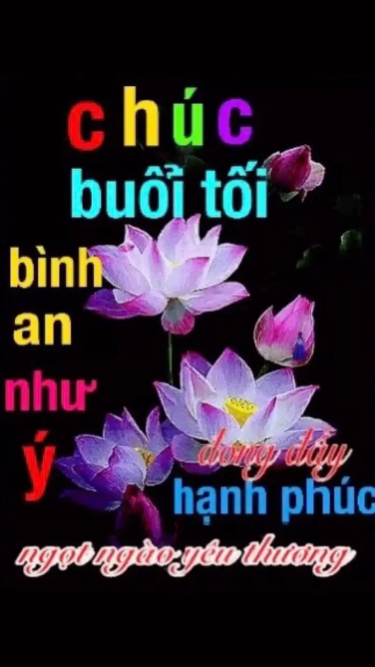 Meme Chúc Mừng Năm Mới Đầy Sắc Màu: Hình Ảnh Để Gửi Lời Chúc 68