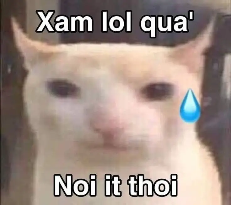 Meme Cú Đấm Sấm Sét: Hài Hước Đến Từ Những Pha Hành Động Thú Vị 18