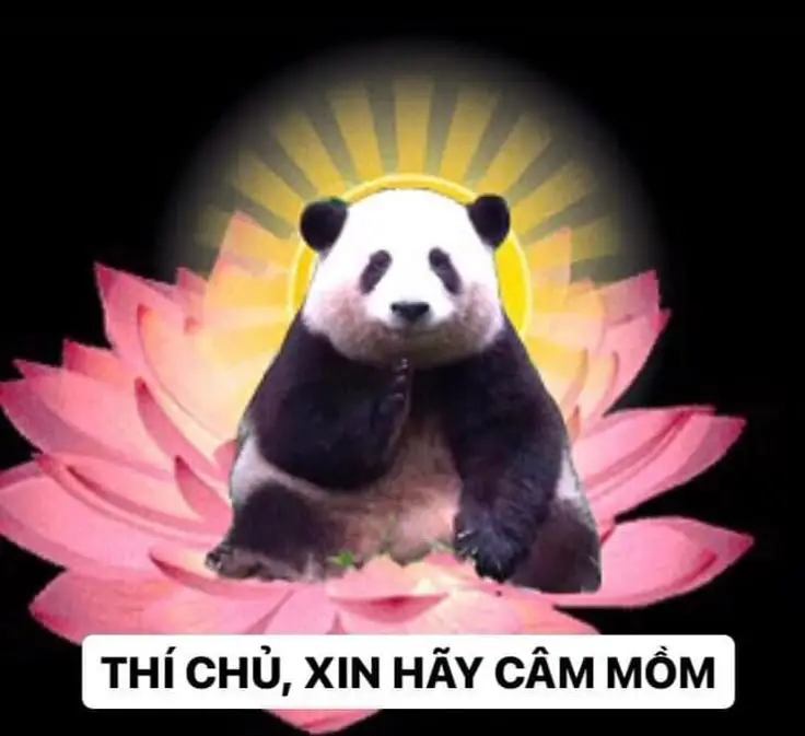 Meme Cú Đấm Sấm Sét: Hài Hước Đến Từ Những Pha Hành Động Thú Vị 30