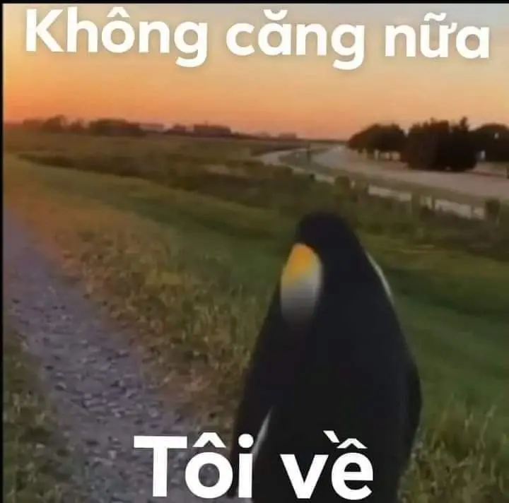 Meme Cú Đấm Sấm Sét: Hài Hước Đến Từ Những Pha Hành Động Thú Vị 33