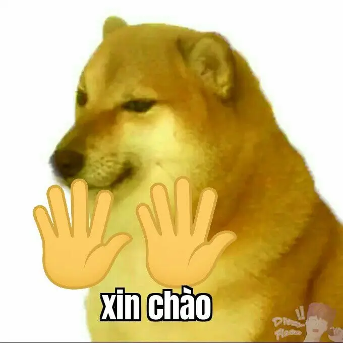 Meme Cú Đấm Sấm Sét: Hài Hước Đến Từ Những Pha Hành Động Thú Vị 48