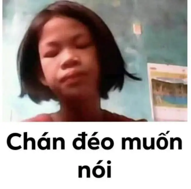 Meme Cú Đấm Sấm Sét: Hài Hước Đến Từ Những Pha Hành Động Thú Vị 52