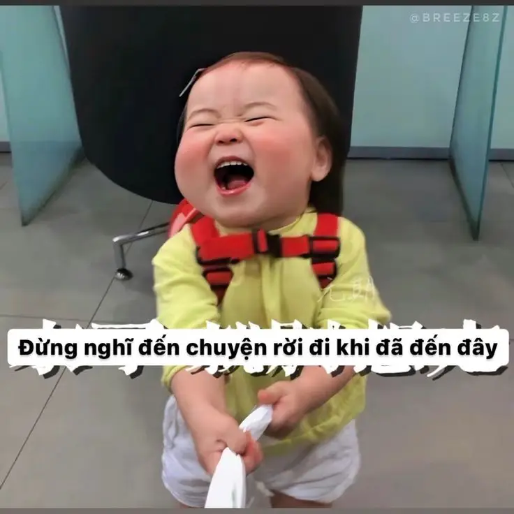 Meme Cú Đấm Sấm Sét: Hài Hước Đến Từ Những Pha Hành Động Thú Vị 64