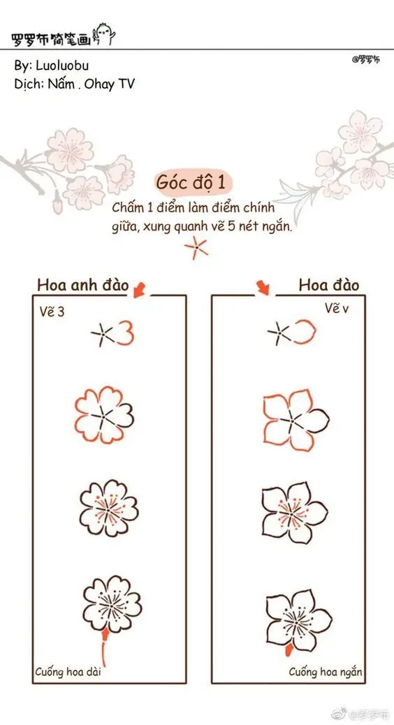 Hình Vẽ Bông Hoa 5 Cánh: Ý Tưởng Sáng Tạo Mới 47