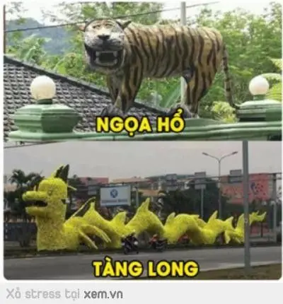 Long Tranh Hổ Đấu Meme: Cuộc Chiến Hài Hước Giữa Các Nhân Vật 57