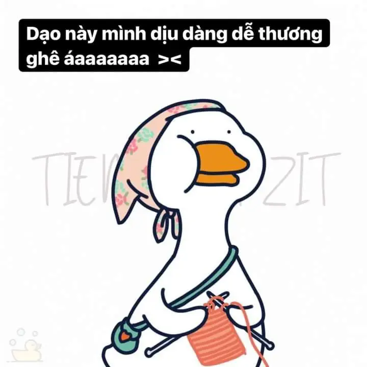 Meme Ảnh Con Vịt Chế: Tuyển Tập Hình Ảnh Hài Hước Đầy Sáng Tạo 7