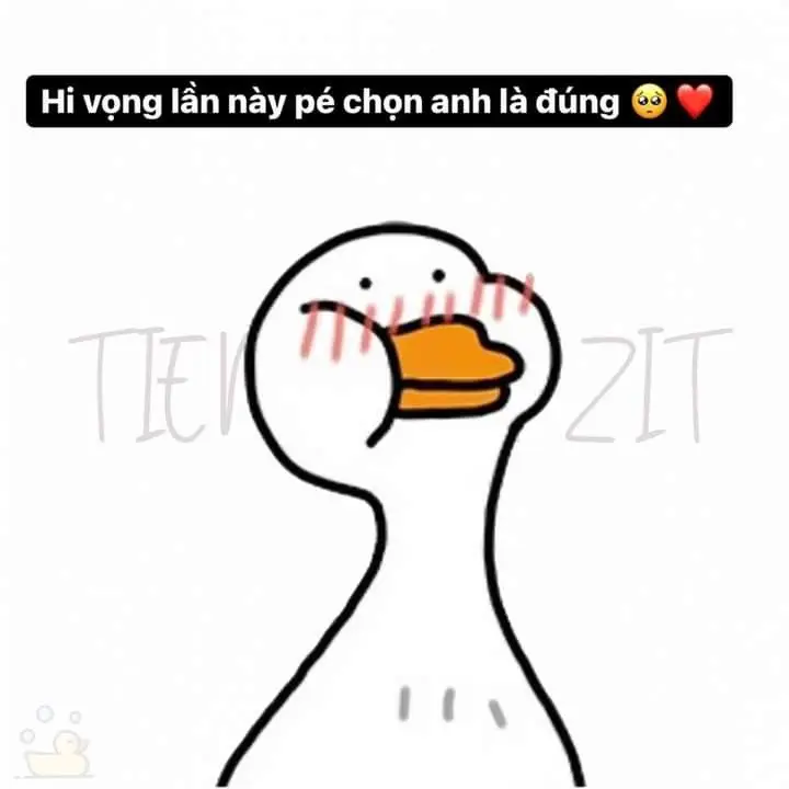 Meme Ảnh Con Vịt Chế: Tuyển Tập Hình Ảnh Hài Hước Đầy Sáng Tạo 9