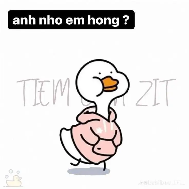 Meme Ảnh Con Vịt Chế: Tuyển Tập Hình Ảnh Hài Hước Đầy Sáng Tạo 12