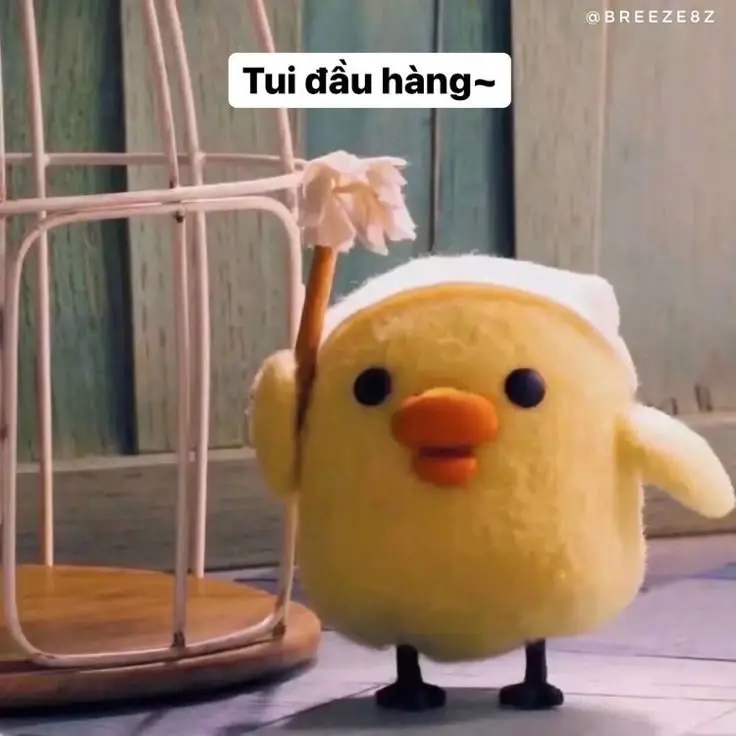 Meme Ảnh Con Vịt Chế: Tuyển Tập Hình Ảnh Hài Hước Đầy Sáng Tạo 15