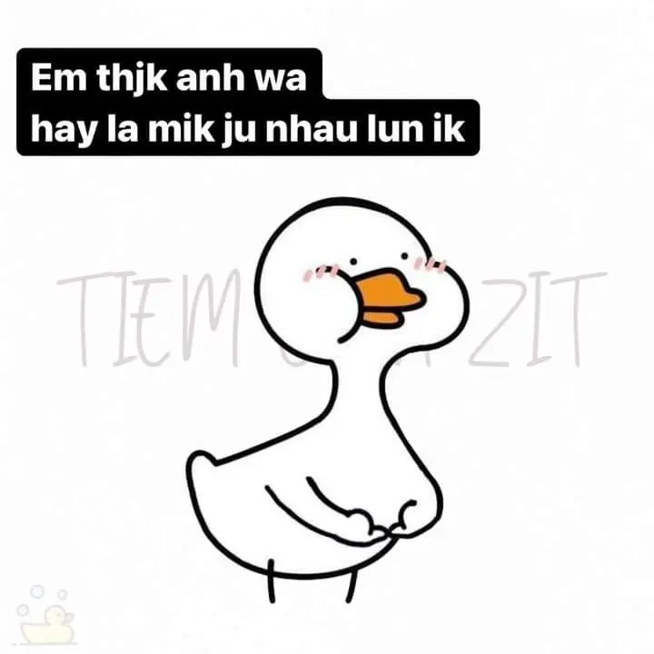 Meme Ảnh Con Vịt Chế: Tuyển Tập Hình Ảnh Hài Hước Đầy Sáng Tạo 16