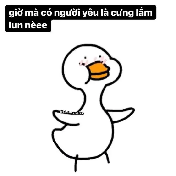 Meme Ảnh Con Vịt Chế: Tuyển Tập Hình Ảnh Hài Hước Đầy Sáng Tạo 17