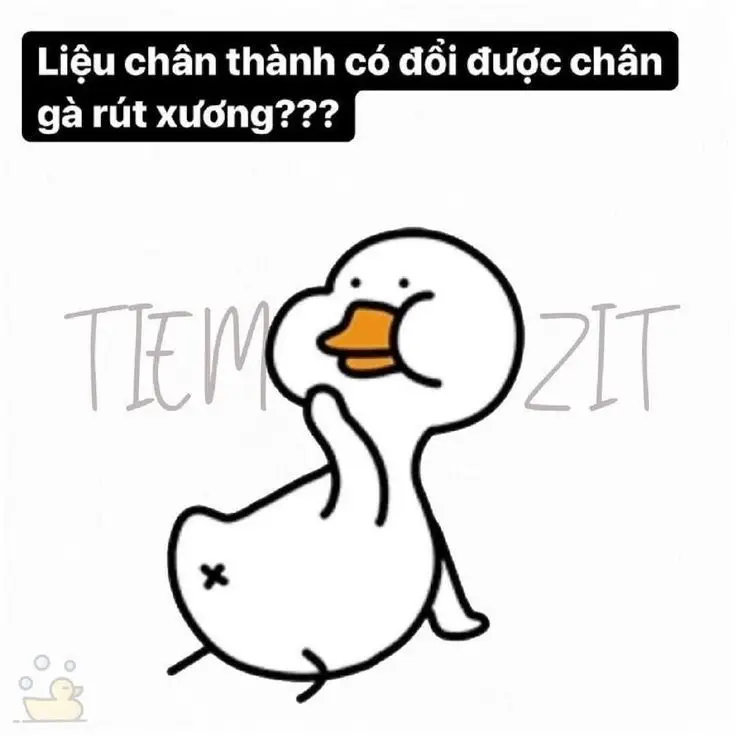 Meme Ảnh Con Vịt Chế: Tuyển Tập Hình Ảnh Hài Hước Đầy Sáng Tạo 20