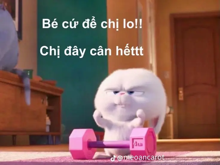 Meme Ảnh Con Vịt Chế: Tuyển Tập Hình Ảnh Hài Hước Đầy Sáng Tạo 25