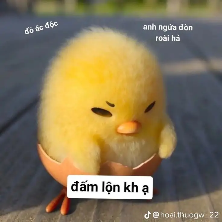 Meme Ảnh Con Vịt Chế: Tuyển Tập Hình Ảnh Hài Hước Đầy Sáng Tạo 31