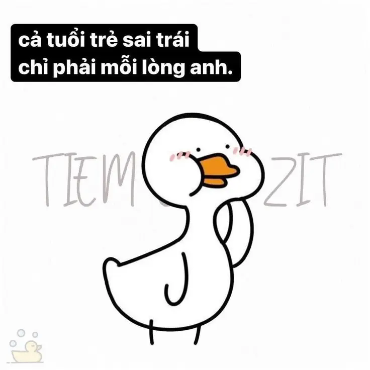 Meme Ảnh Con Vịt Chế: Tuyển Tập Hình Ảnh Hài Hước Đầy Sáng Tạo 32