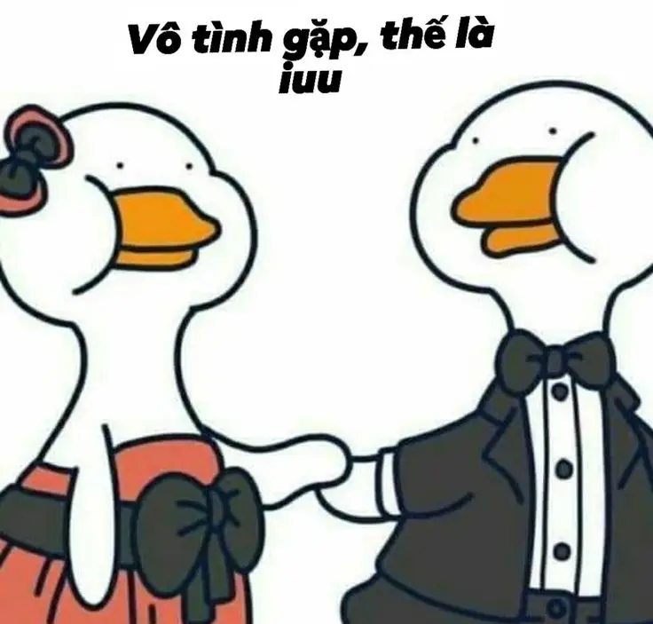 Meme Ảnh Con Vịt Chế: Tuyển Tập Hình Ảnh Hài Hước Đầy Sáng Tạo 33