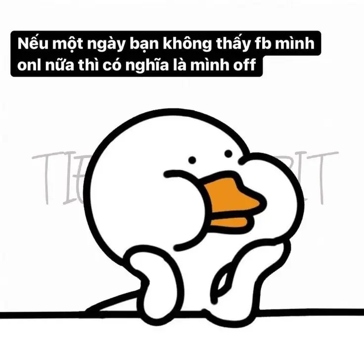 Meme Ảnh Con Vịt Chế: Tuyển Tập Hình Ảnh Hài Hước Đầy Sáng Tạo 34