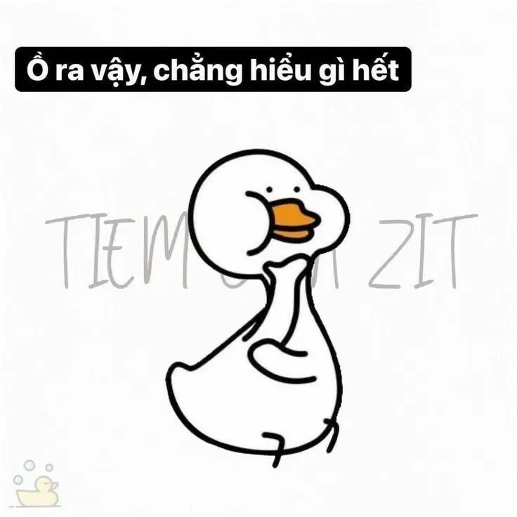 Meme Ảnh Con Vịt Chế: Tuyển Tập Hình Ảnh Hài Hước Đầy Sáng Tạo 35