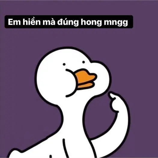 Meme Ảnh Con Vịt Chế: Tuyển Tập Hình Ảnh Hài Hước Đầy Sáng Tạo 43