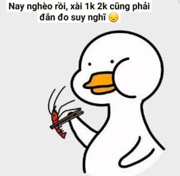 Meme Ảnh Con Vịt Chế: Tuyển Tập Hình Ảnh Hài Hước Đầy Sáng Tạo 50