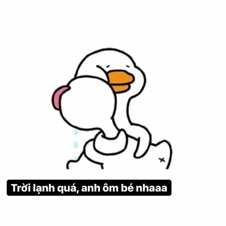 Meme Ảnh Con Vịt Chế: Tuyển Tập Hình Ảnh Hài Hước Đầy Sáng Tạo 51