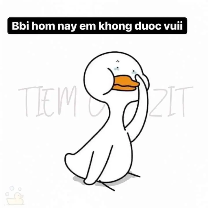 Meme Ảnh Con Vịt Chế: Tuyển Tập Hình Ảnh Hài Hước Đầy Sáng Tạo 54