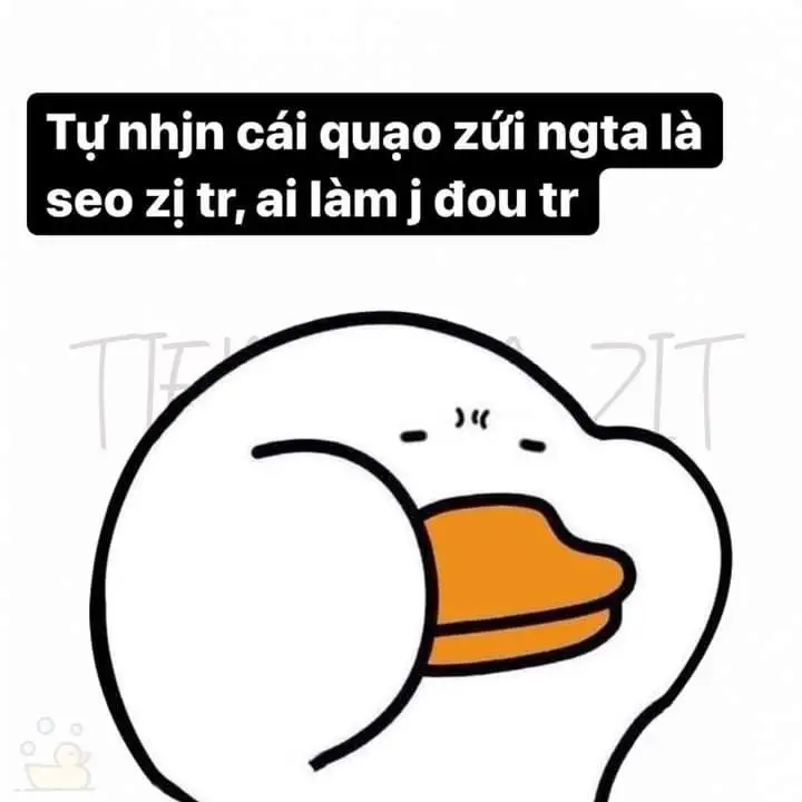 Meme Ảnh Con Vịt Chế: Tuyển Tập Hình Ảnh Hài Hước Đầy Sáng Tạo 56