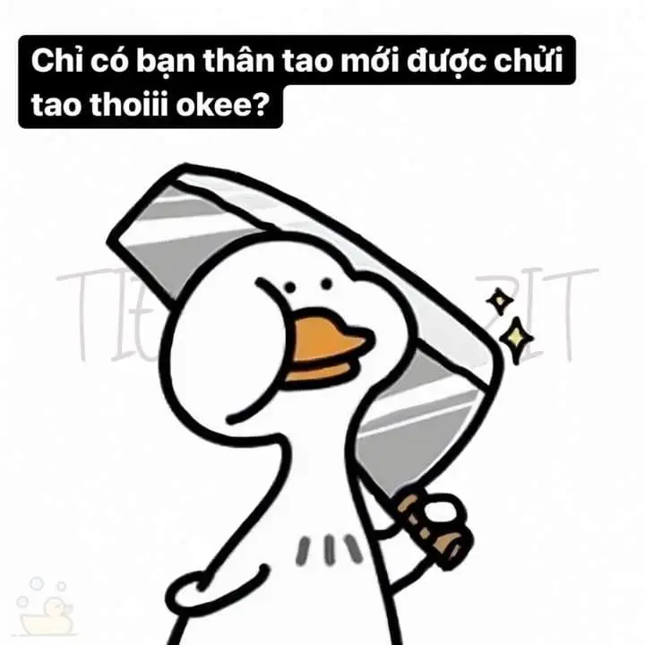 Meme Ảnh Con Vịt Chế: Tuyển Tập Hình Ảnh Hài Hước Đầy Sáng Tạo 58