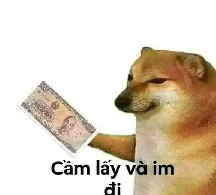 Meme Ảnh Con Vịt Chế: Tuyển Tập Hình Ảnh Hài Hước Đầy Sáng Tạo 69