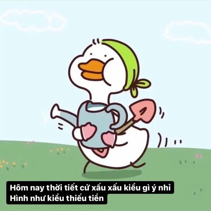 Meme Ảnh Con Vịt Chế: Tuyển Tập Hình Ảnh Hài Hước Đầy Sáng Tạo 71