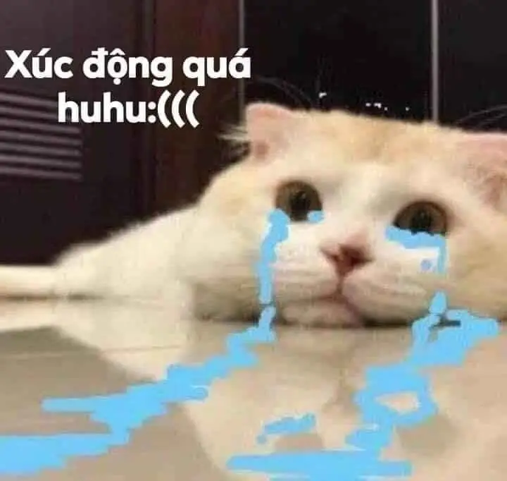 Meme Chúc Ngủ Ngon Hài: Lời Chúc Ngọt Ngào Trên Các Hình Ảnh 17