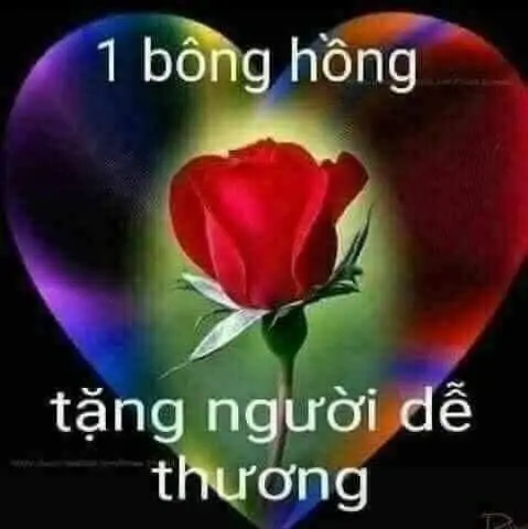 Meme Chúc Ngủ Ngon Hài: Lời Chúc Ngọt Ngào Trên Các Hình Ảnh 21