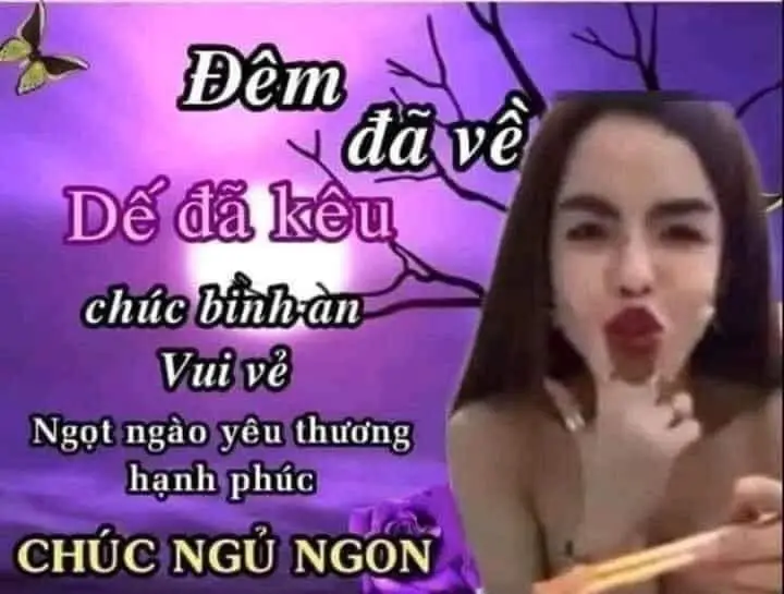 Meme Chúc Ngủ Ngon Hài: Lời Chúc Ngọt Ngào Trên Các Hình Ảnh 31