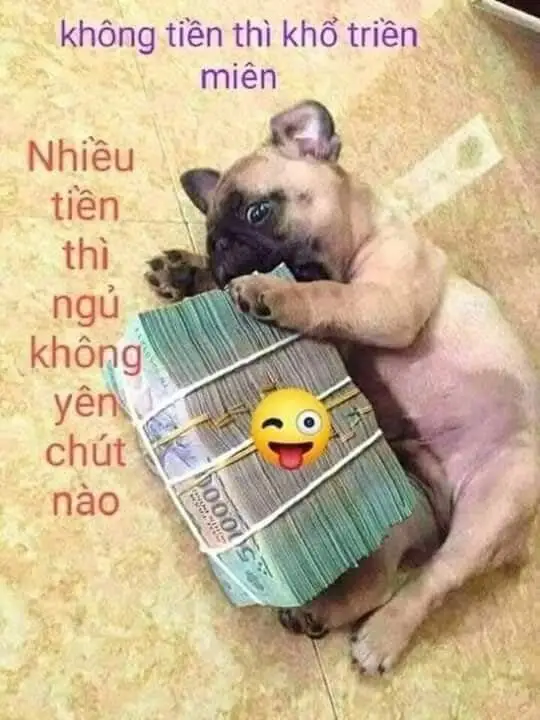 Meme Chúc Ngủ Ngon Hài: Lời Chúc Ngọt Ngào Trên Các Hình Ảnh 44